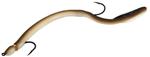 Rigged Eel