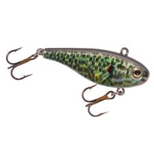 Lindy Darter
