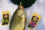 Ice Fishing