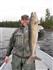 Jigging Early 'Eyes