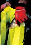 Livewell Liner