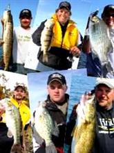 fishingluresbyspecies