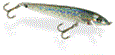 Rebel Holographic Minnow