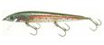 Rebel Holographic Minnow