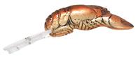 Rebel Deep Teeny Wee-Crawfish