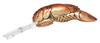 Rebel Big Craw