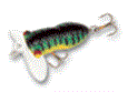 Arbogast Hocus Locust