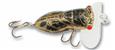 Arbogast Hocus Locust