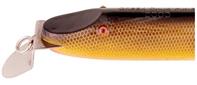 Creek Chub Jointed Pikie