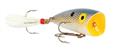 Rebel P50 Teeny Pop-R (Small Size)