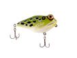Rebel Frog-R