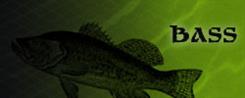 Bass Fishing Lures