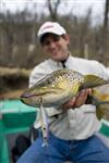 brown trout on an xt3 twitch bait