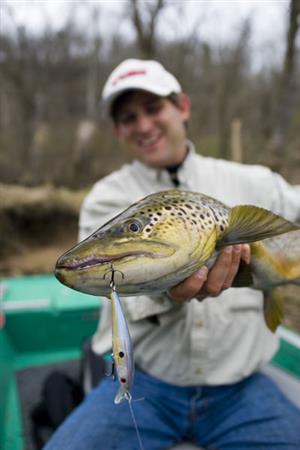 brown trout on an xt3 twitch bait