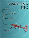 Carolina Rig