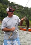 cicada topwater