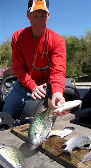 crappie flop
