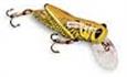 Rebel Crickhopper/ Bighopper