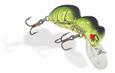 Rebel Big Ant