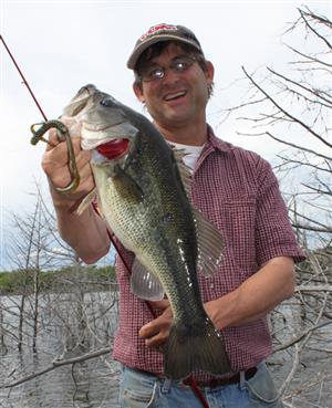 yumphibian bass