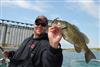 xcalibur erratic shad jerkbait
