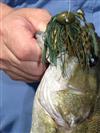 booyah pigskin jig