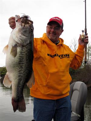 looper with big bass