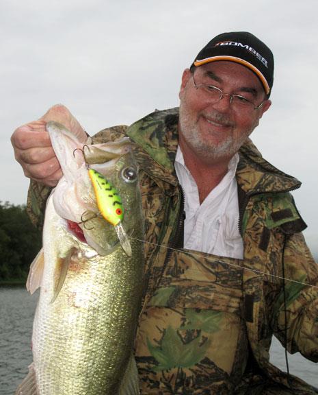 looper with fat free bass
