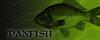 Crappie Fishing Lures