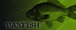 Panfish Fishing Lures