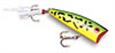 Rebel P60 Pop-R (Medium Size)