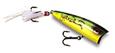 Rebel P61 Pop-R Plus (Medium Size)