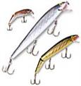 Rebel Minnow