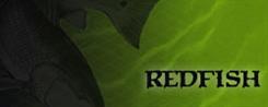 Redfish Fishing Lures