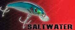 Saltwater Lures and Plugs