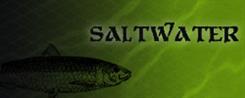 Saltwater Fishing Lures