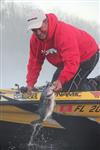 terry scroggins