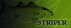 Striper Fishing Lures