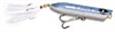Creek Chub Striper Strike