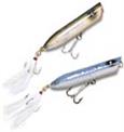 Creek Chub Striper Strike