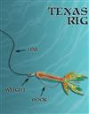 Texas Rig