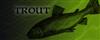 The Best Trout Bait For Trout Fishing
