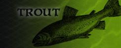 Trout Fishing Lures