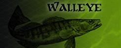 Walleye Fishing Lures