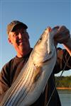 brad wiegmann