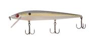 XCalibur EEratic Shad
