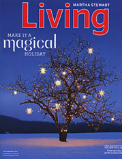 Martha Stewart Living Magazine