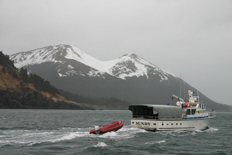 Alaskan Bear Hunting