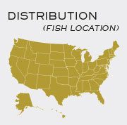 Bluegill Fish - Locations in UnitedStates