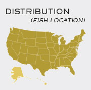 Catfish - Locations in United States